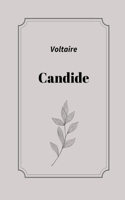 Candide