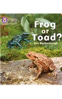 Frog or Toad?