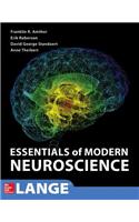 Essentials of Modern Neuroscience