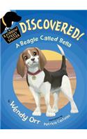 Discovered! a Beagle Called Bella: (6 Rainbow Street Shelter)