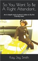 So You Want To Be A Flight Attendant...