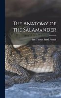 The Anatomy of the Salamander