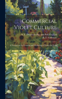 Commercial Violet Culture