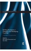 Building Businesses in Emerging and Developing Countries