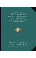 Catalogue of the Phaenogamous and Vascular Cryptogamous Plants of Michigan