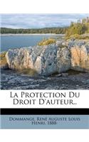 La Protection Du Droit d'Auteur..