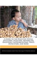 A Guide to the Digestive System