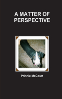 A Matter of Perspective