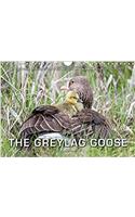 Emotional Moments: The Greylag Goose. / UK-Version 2017