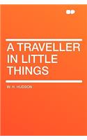 A Traveller in Little Things