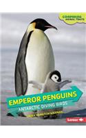 Emperor Penguins