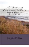 New Testament Commentary Volume 8