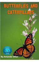 Butterflies and Caterpillars.