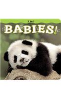 Zoo Babies!
