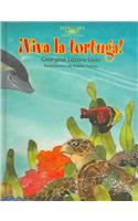 Viva la Tortuga!