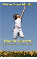 How to Succeed: Or, Stepping-Stones to Fame and Fortune