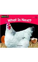 What Is Next? Leveled Text: (English)