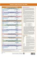 Newborn Coding Decision Tool 2018