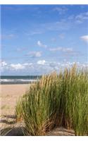 Beach Grass Journal: 150 Page Lined Notebook/Diary