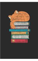 Cat And Books