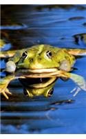 Say Hello to the Water Frog Journal