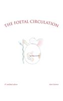 Foetal Circulation