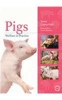 Pigs Welfare in Practice