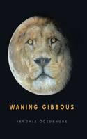 Waning Gibbous
