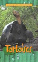 Tortoises