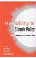 Flexibility in Global Climate Policy