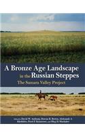 A Bronze Age Landscape in the Russian Steppes