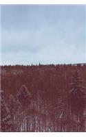 Forest Covered in Snow Notebook