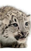 Snow Leopard Notebook & Journal. Productivity Work Planner & Idea Notepad