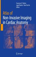 Atlas of Non-Invasive Imaging in Cardiac Anatomy