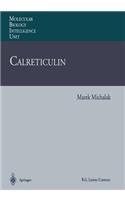 Calreticulin