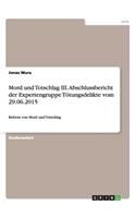 Mord und Totschlag III. Abschlussbericht der Expertengruppe Tötungsdelikte vom 29.06.2015: Reform von Mord und Totschlag(German)