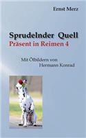Sprudelnder Quell