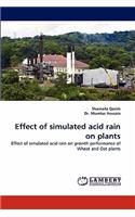 Effect of Simulated Acid Rain on Plants