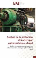 Analyse de la protection des aciers par galvanisatiosn à chaud