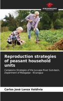 Reproduction strategies of peasant household units