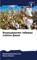 Выращивание гибрида хлопка Деши