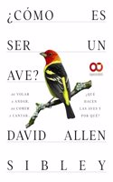 Â¿Como es ser un ave? De volar a anidar, de comer a cantar... Â¿Que hacen las aves y por que?