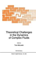 Theoretical Challenges in the Dynamics of Complex Fluids