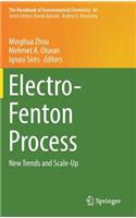 Electro-Fenton Process