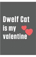 Dwelf Cat is my valentine: For Dwelf Cat Fans