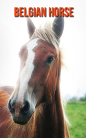 Belgian Horse: Beautiful Pictures & Interesting Facts Children Book About Belgian Horse