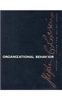 Organizational Behavior-E-Business Updated Edition