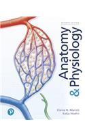 Anatomy & Physiology Plus Mastering A&p with Pearson Etext -- Access Card Package: (Masteringa&p)