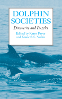 Dolphin Societies
