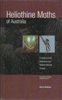 Heliothine Moths of Australia